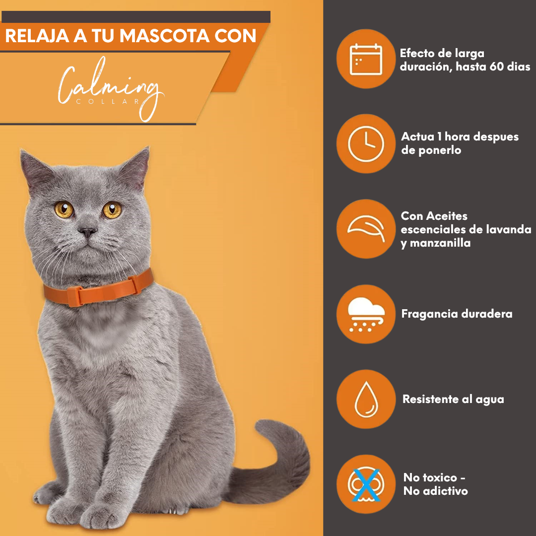 Calming Collar Gato - NARANJA