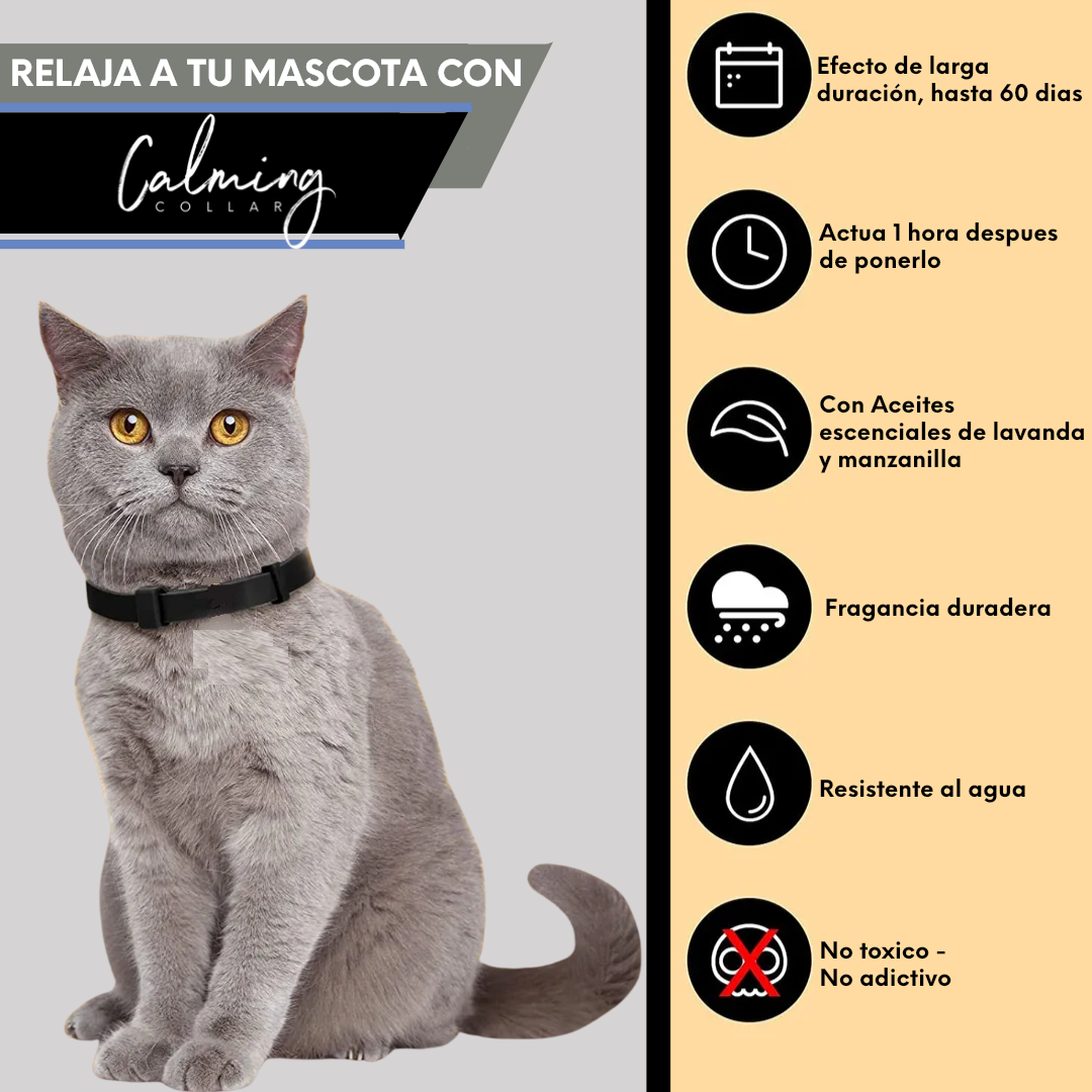 Calming Collar Gato - NEGRO