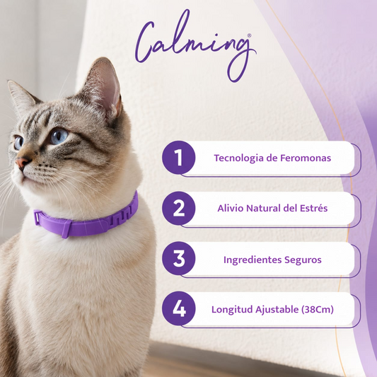 Calming Collar Gato - VIOLETA