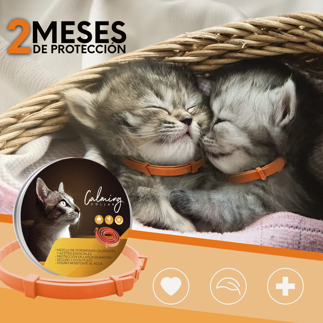 Calming Collar Gato - NARANJA