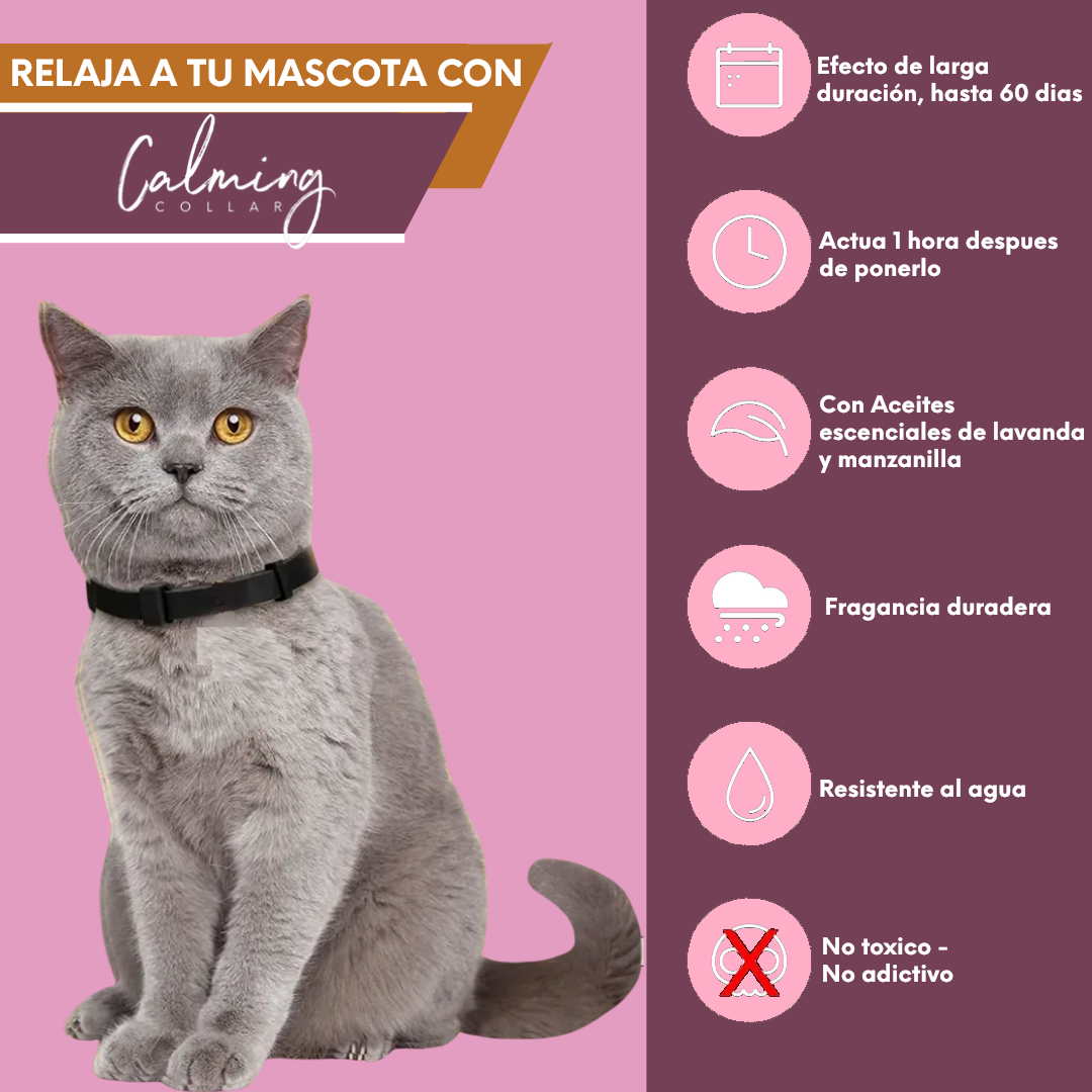 Calming Collar Gato - ROSA