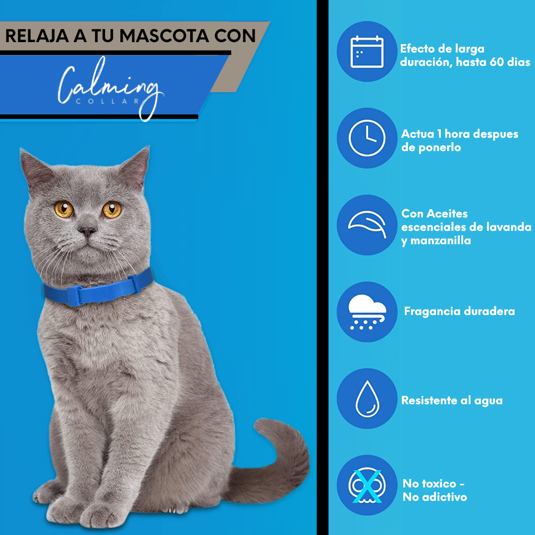 Calming Collar Gato - AZUL
