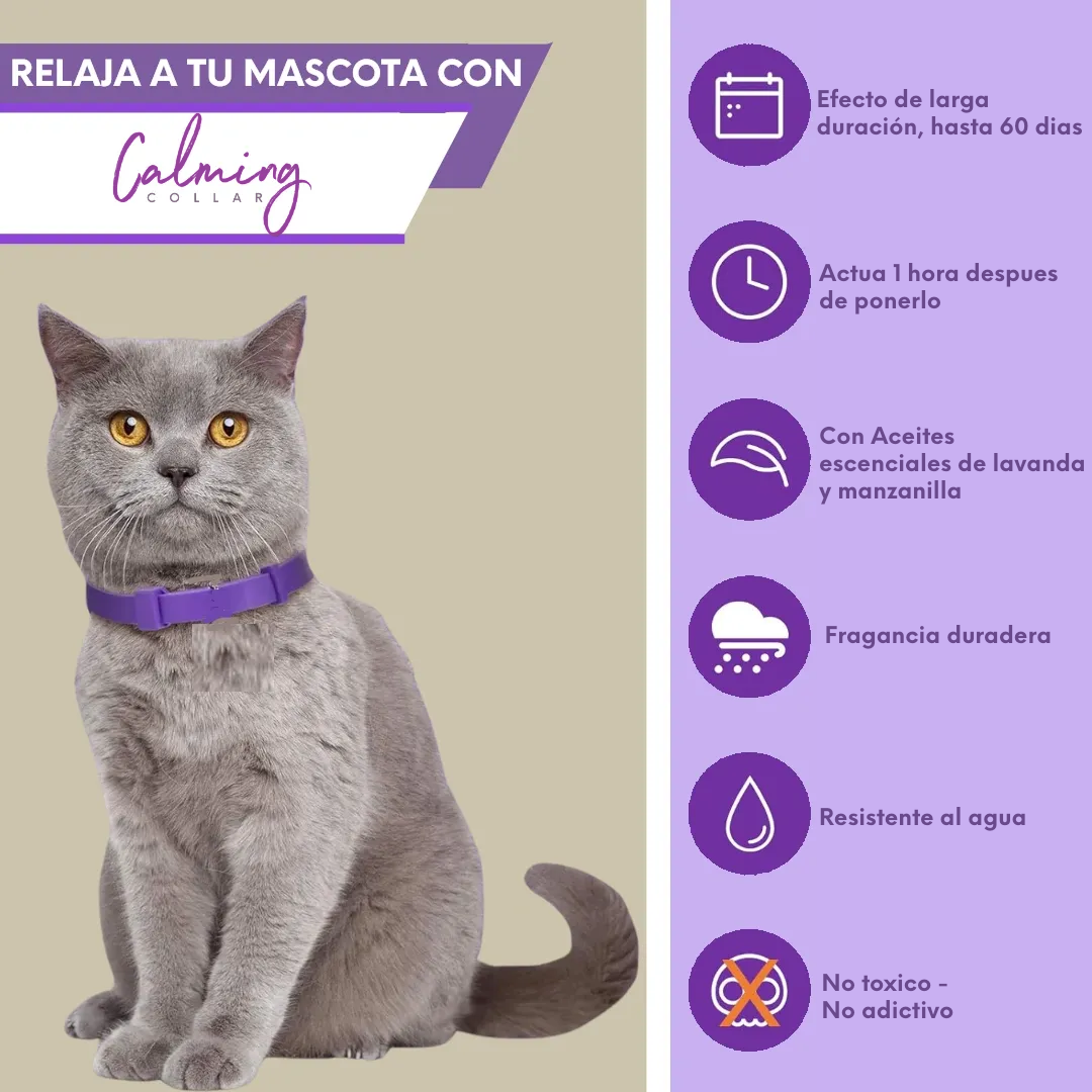 Calming Collar Gato - VIOLETA