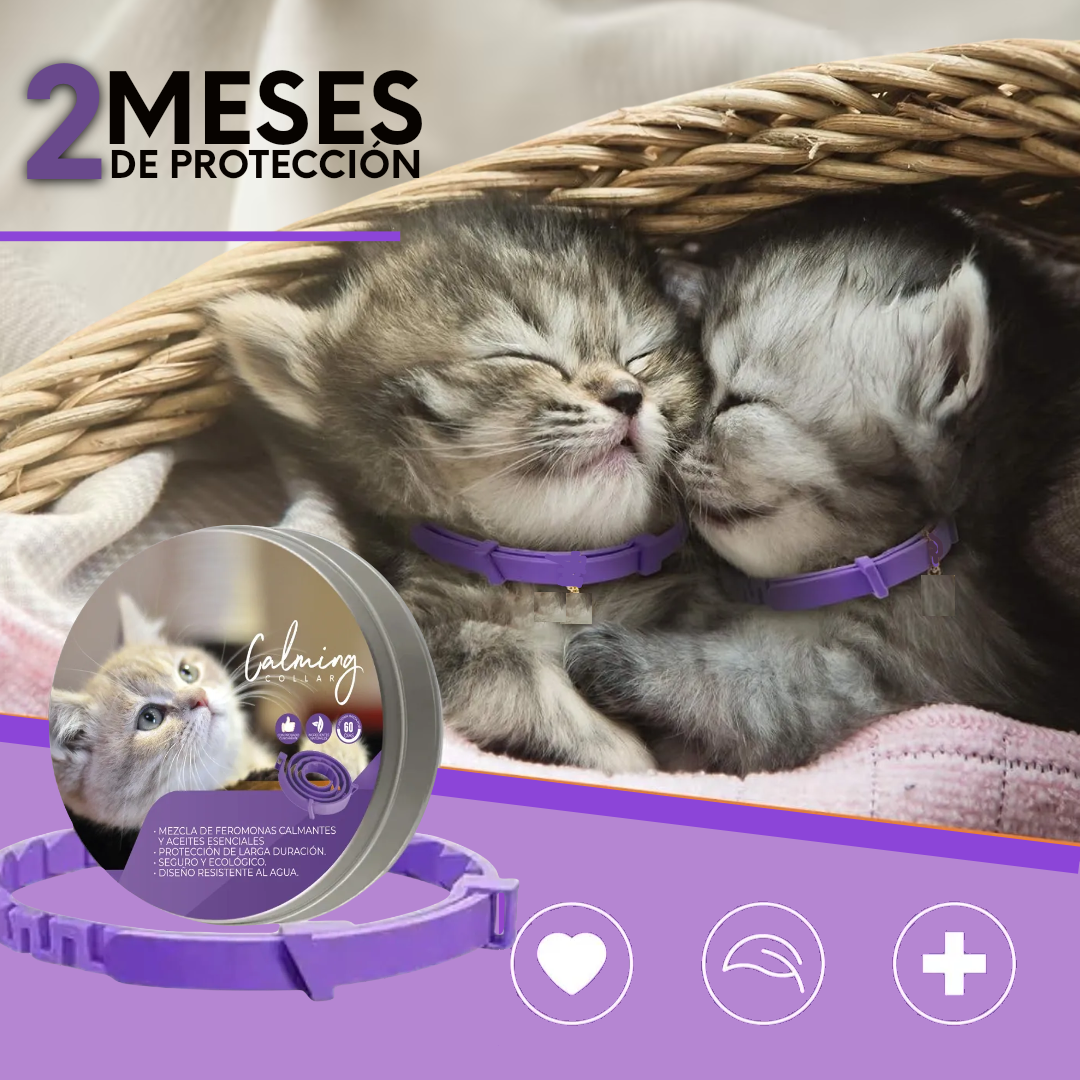 Calming Collar Gato - VIOLETA
