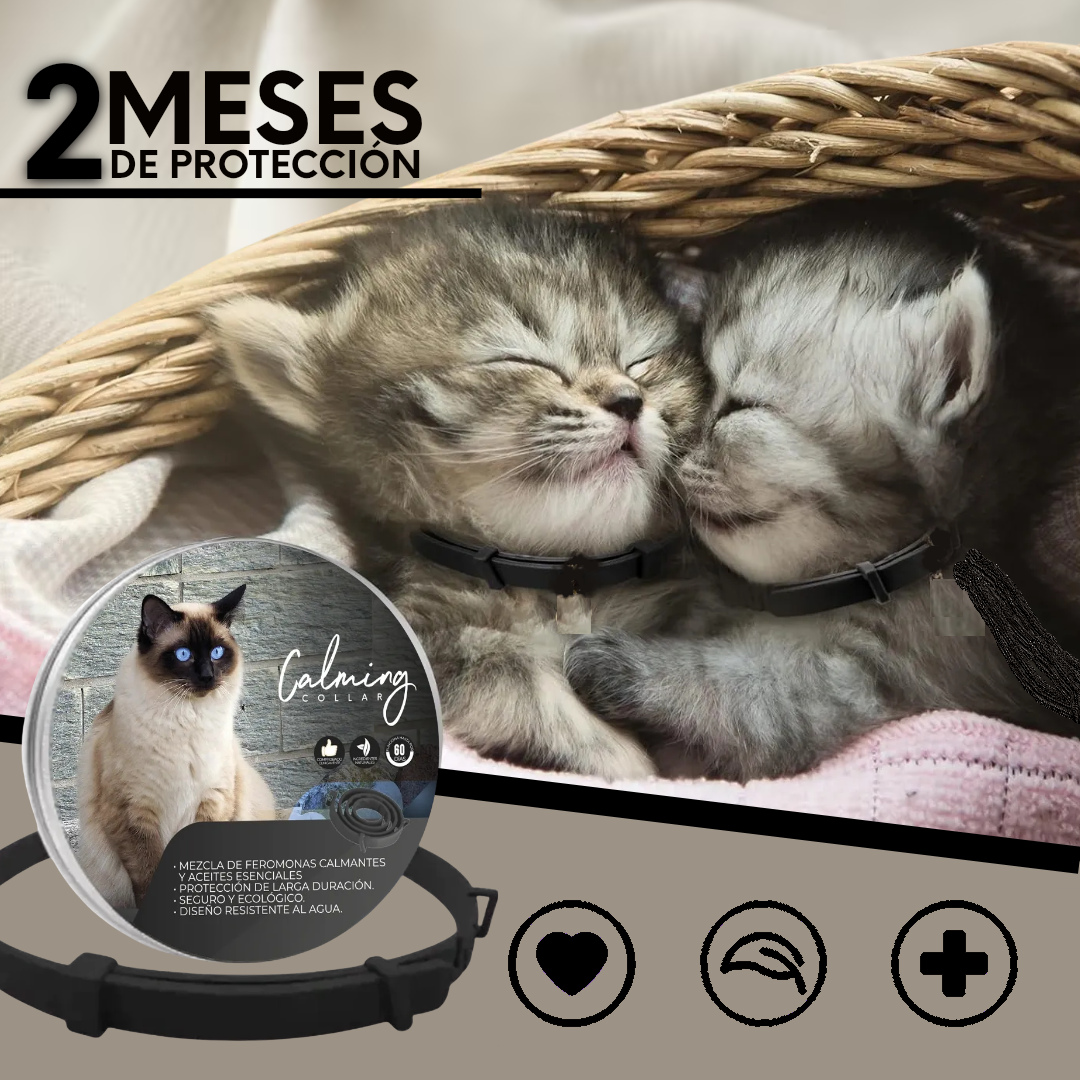 Calming Collar Gato - NEGRO