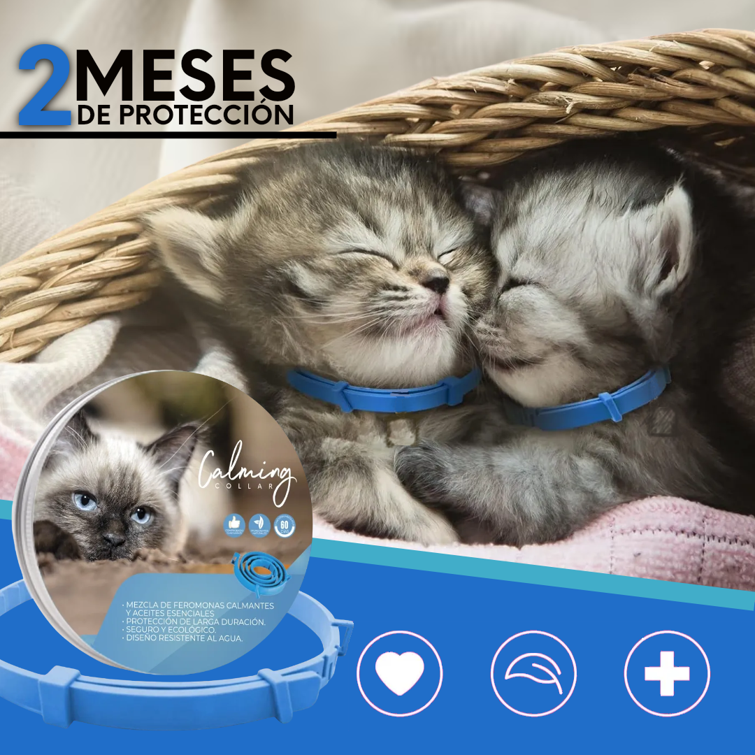 Calming Collar Gato - AZUL
