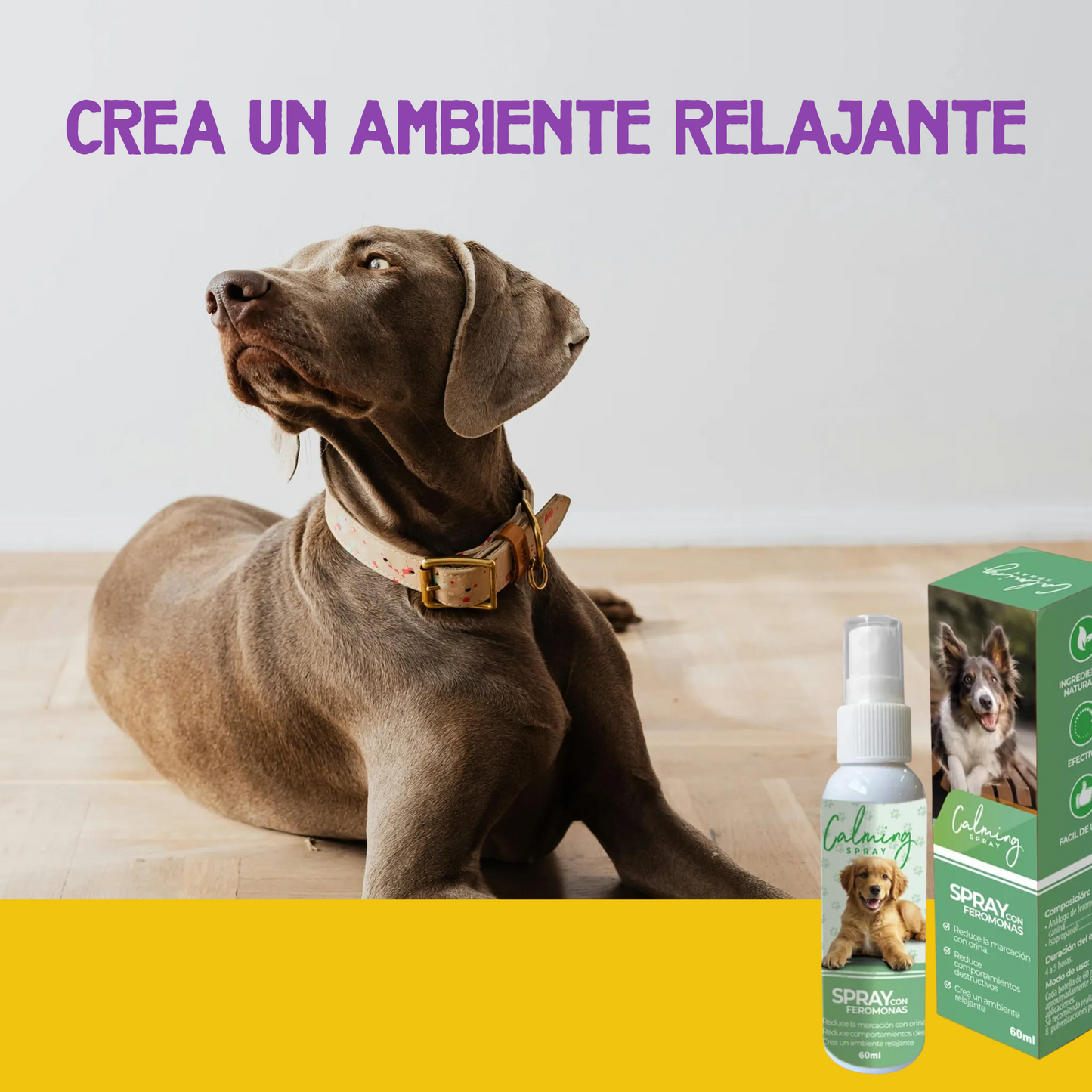 Calming Spray Perro