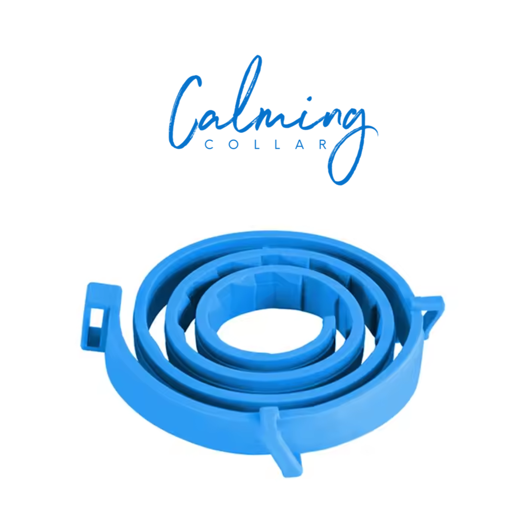 Calming Collar Gato - AZUL