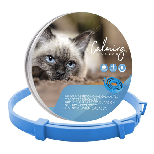 Calming Collar Gato - AZUL