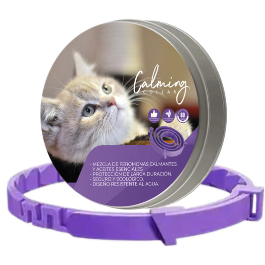 Calming Collar Gato - VIOLETA