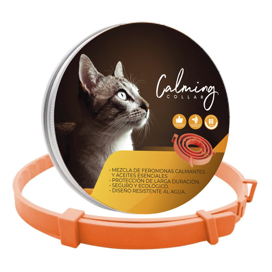 Calming Collar Gato - NARANJA