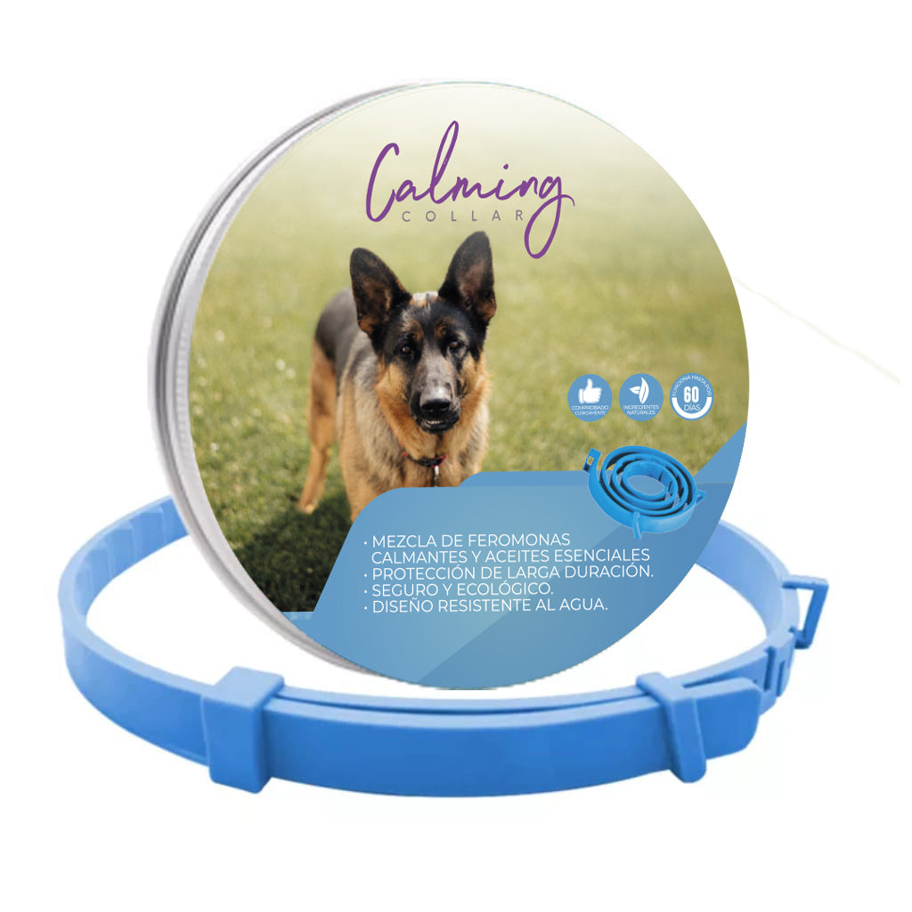 Calming Collar Perro - AZUL