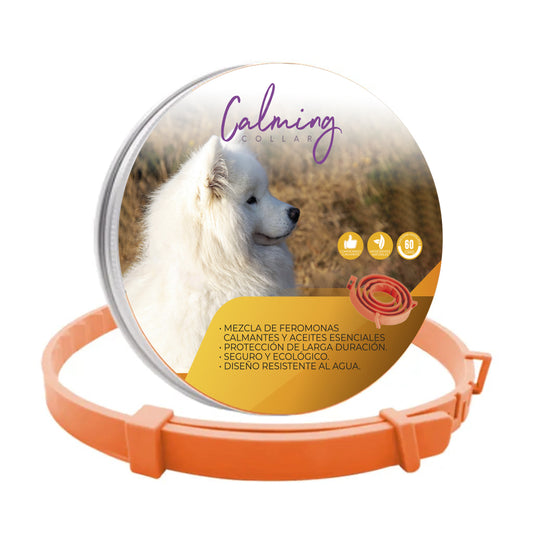 Calming Collar Perro - NARANJA