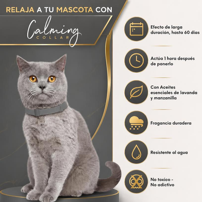 Calming Collar Gato - GRIS
