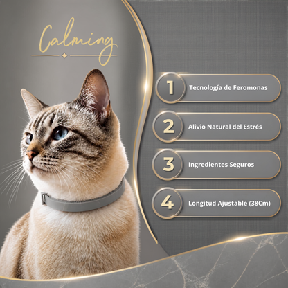 Calming Collar Gato - GRIS
