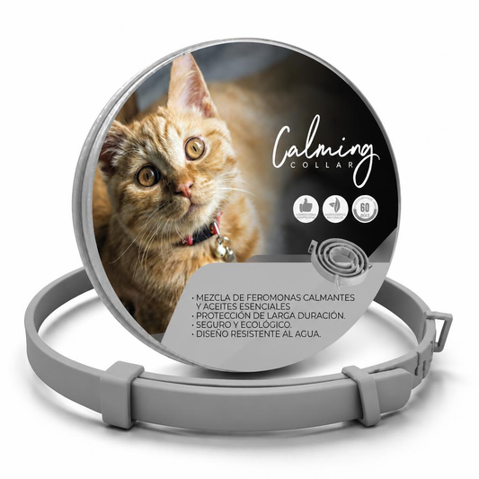 Calming Collar Gato - GRIS