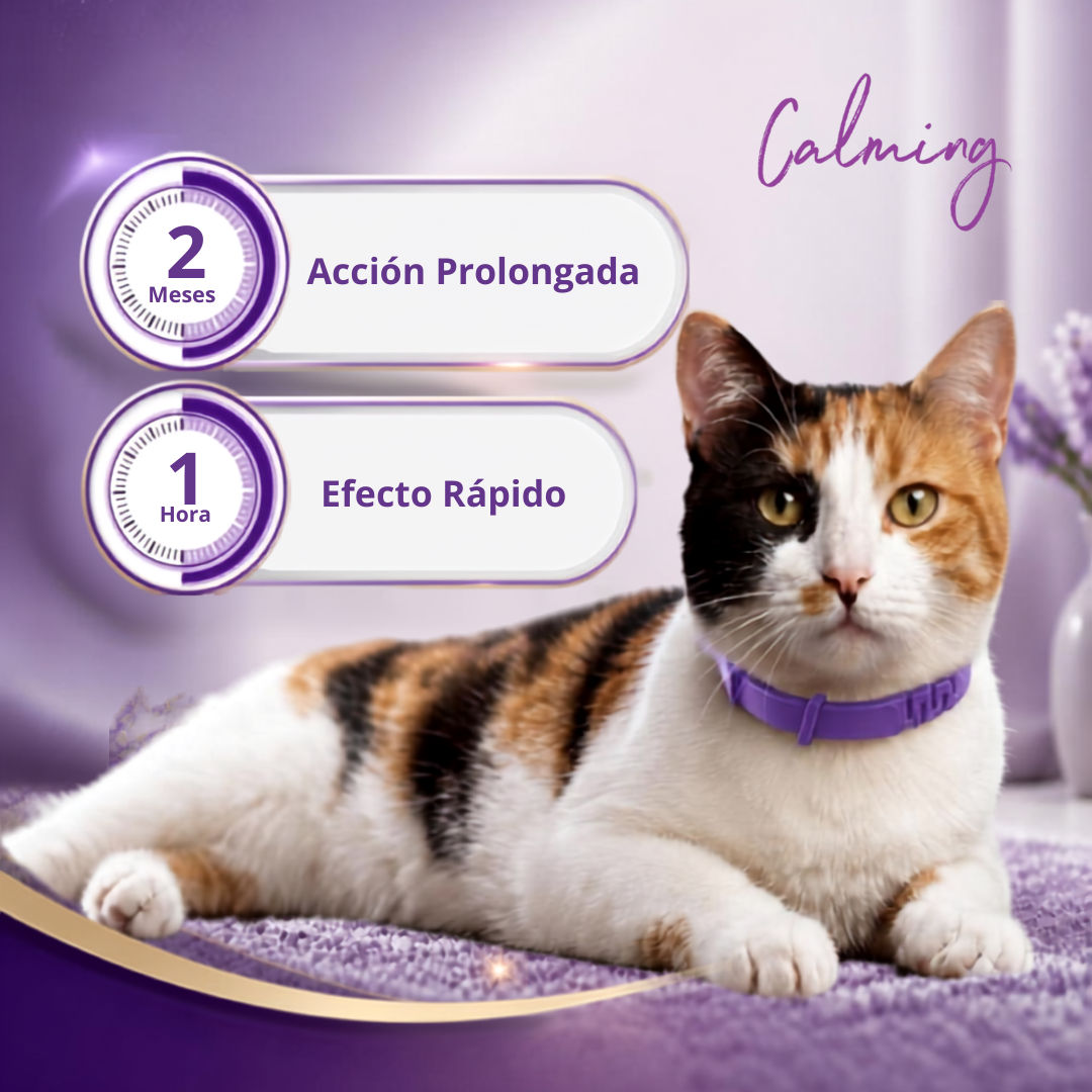 Calming Collar Gato - VIOLETA