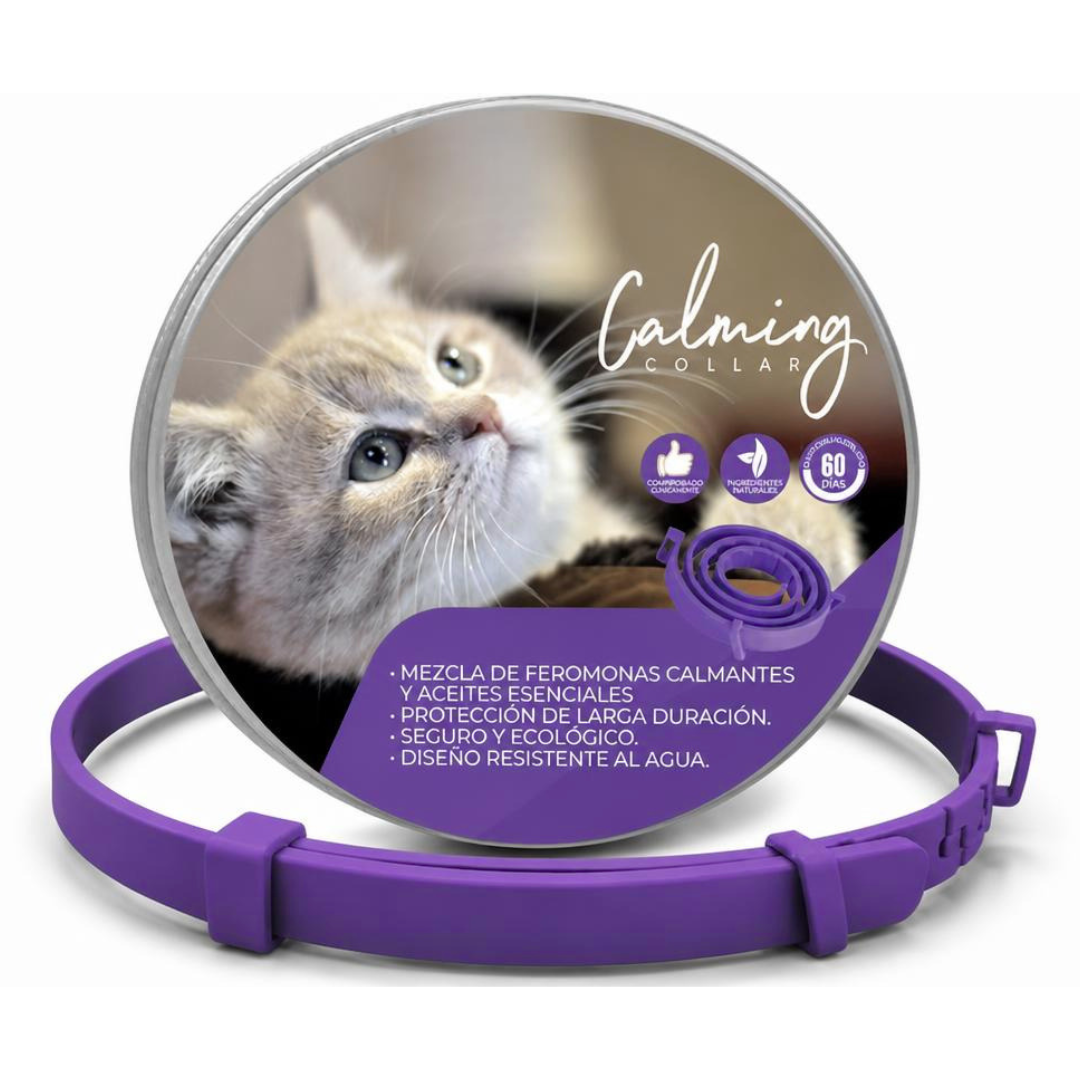 Calming Collar Gato - VIOLETA