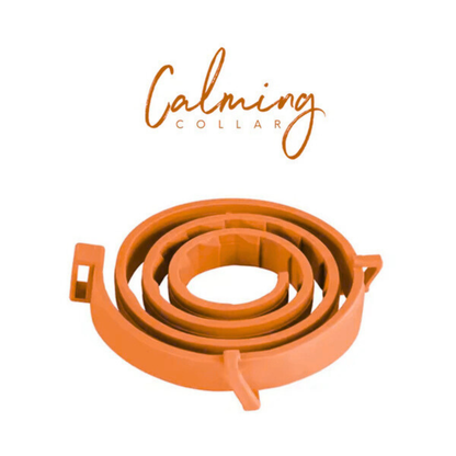 Calming Collar Perro - NARANJA