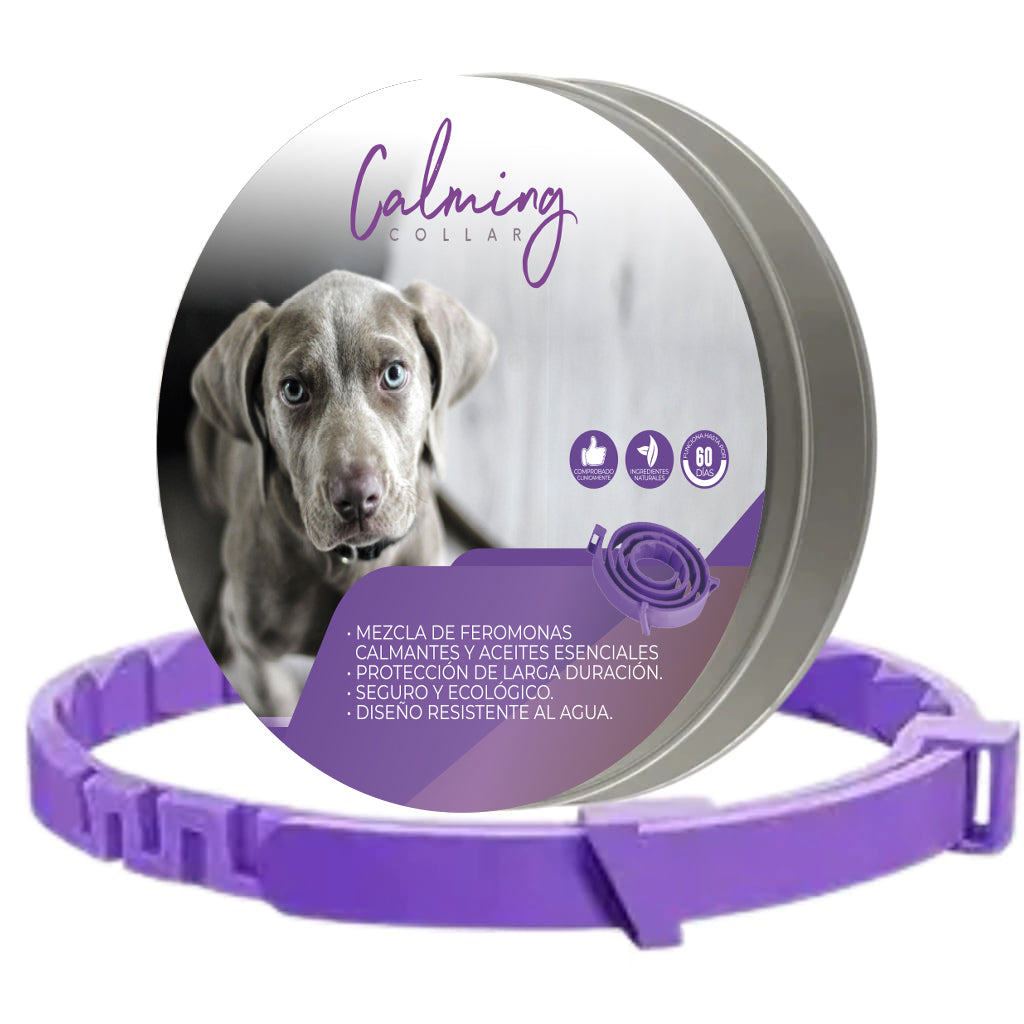 Calming Perros Calming Collar Perro - VIOLETA