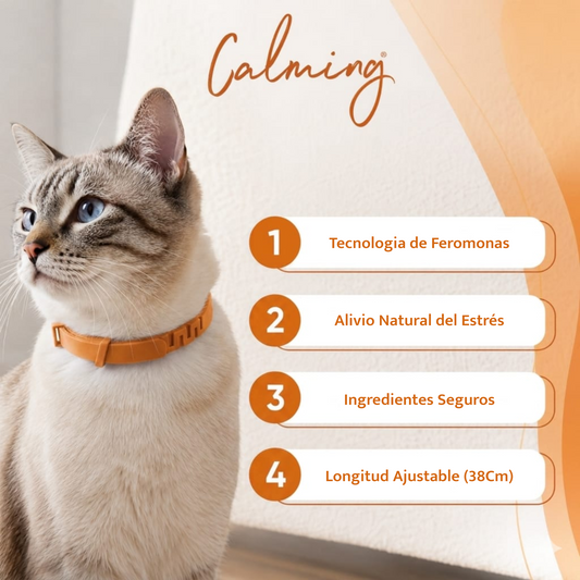 Calming Collar Gato - NARANJA