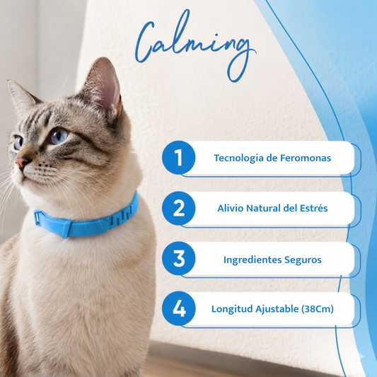 Calming Collar Gato - AZUL