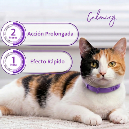 Calming Collar Gato - VIOLETA