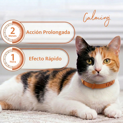 Calming Collar Gato - NARANJA