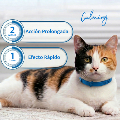 Calming Collar Gato - AZUL